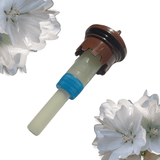 Fiole aromathérapie pour Spa senteur Musc