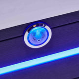 Systèmes Bluetooth des spas jacuzzi ZigZag SPA